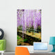 Draping Wisteria Flowers Wall Mural