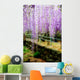 Draping Wisteria Flowers Wall Mural