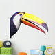 Closeup of toucan bird Wall Decal