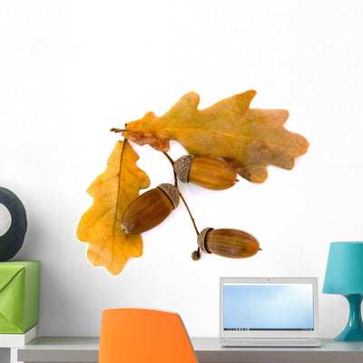 Beautiful Autumnal Oak Leaves Wall Decal shown on a wall
