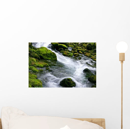 Forest Stream Wall Decal Design 3
