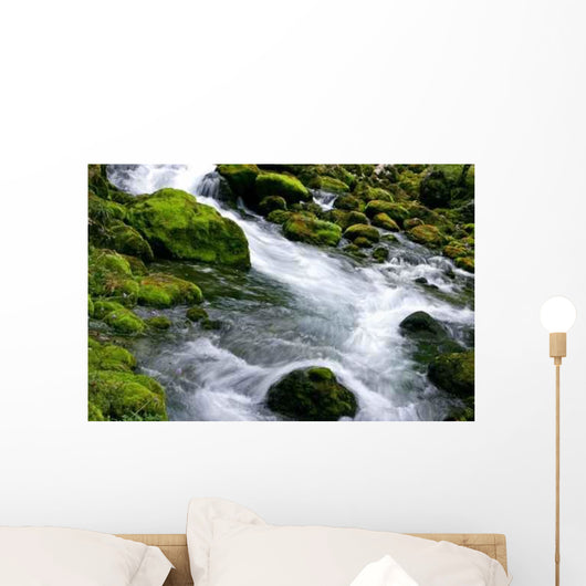 Forest Stream Wall Decal Design 3
