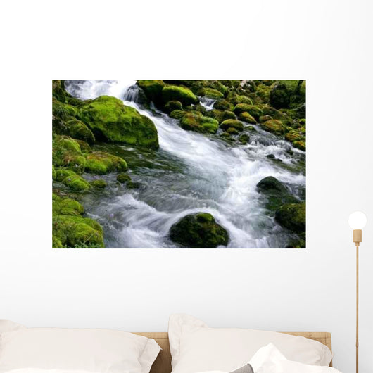 Forest Stream Wall Decal Design 3