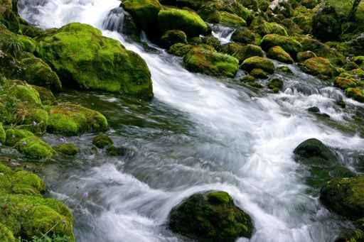 Forest Stream Wall Decal Design 3