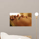 Reiki Hands Closeup Wall Mural