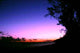 Mauritius Sunset Wall Decal