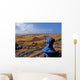 Lichtspiele Wall Decal