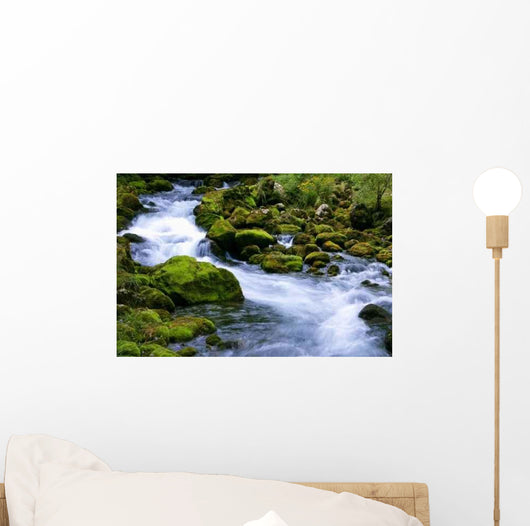 Forest Stream Wall Decal Design 1
