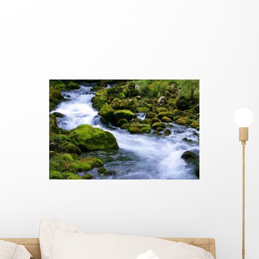 Forest Stream Wall Decal Design 1