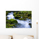 Forest Stream Wall Decal Design 1