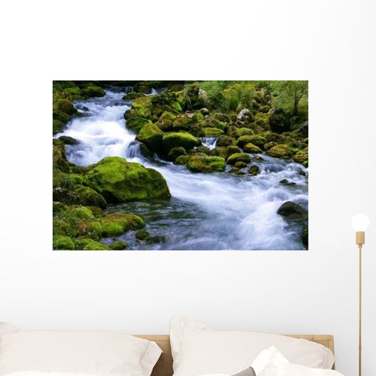 Forest Stream Wall Decal Design 1