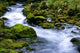 Forest Stream Wall Decal Design 1