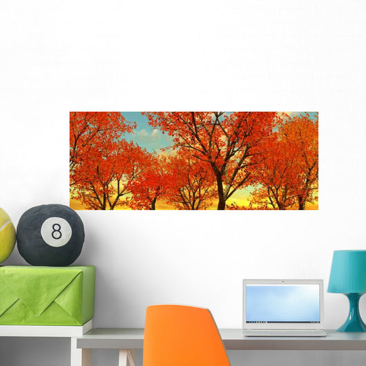 Beautiful Autumn Trees Wall Decal