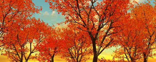 Beautiful Autumn Trees Wall Decal
