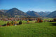Oberstdorf Wall Decal
