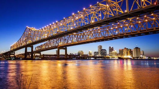 New Orleans City Skyline Wall Decal