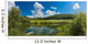 wood lake Wall Mural