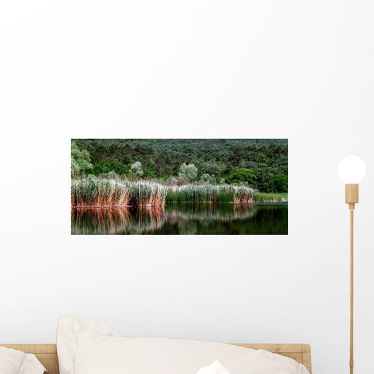 Lake Wall Decal Design 2