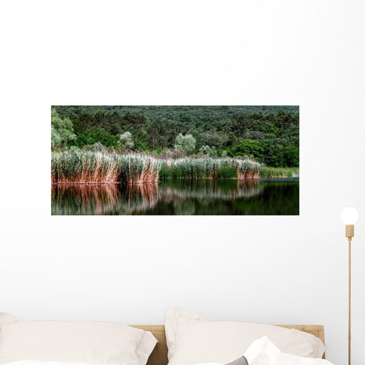 Lake Wall Decal Design 2