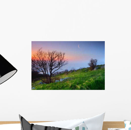 Nature Wall Decal Design 1
