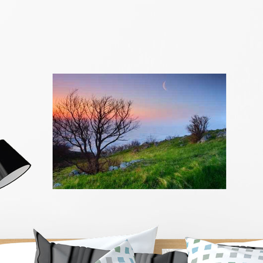 Nature Wall Decal Design 1