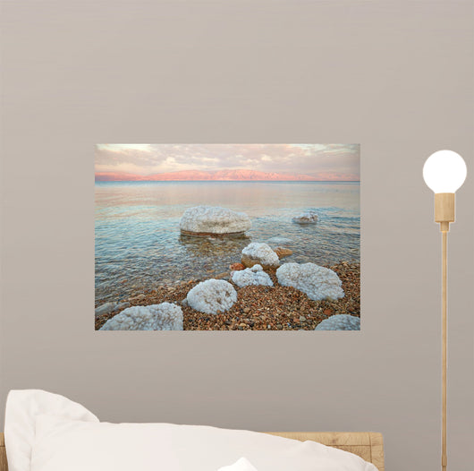 Dead Sea Coastline Israel Wall Decal Design 1