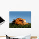 Baseball Glove With Ball Wall Mural