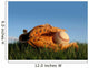 Baseball Glove With Ball Wall Mural