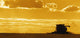 Field with Combine Sunset Wall Decal