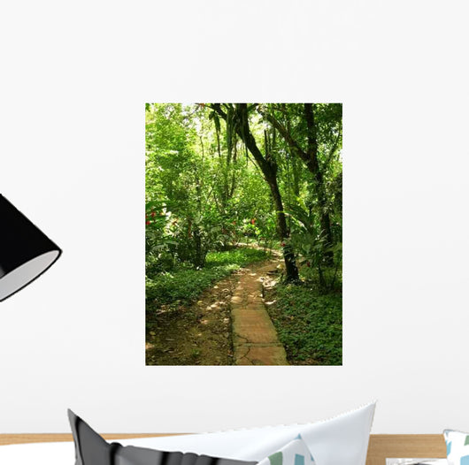 Path Chiapas Wall Decal