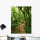 Path Chiapas Wall Decal