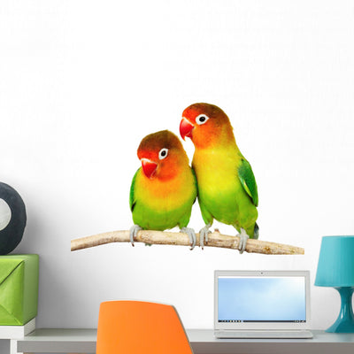 Pair Lovebirds Wall Decal shown on a wall