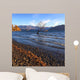lonely tree  Wall Mural