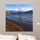 lonely tree  Wall Mural
