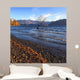 lonely tree  Wall Mural