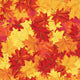 Seamless autumn maple leaves Wall Mural