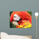 Portrait Scarlet Macaw Wall Mural