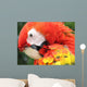 Portrait Scarlet Macaw Wall Decal