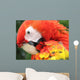 Portrait Scarlet Macaw Wall Mural