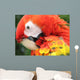 Portrait Scarlet Macaw Wall Mural