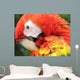 Portrait Scarlet Macaw Wall Decal