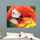 Portrait Scarlet Macaw Wall Decal
