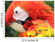 Portrait Scarlet Macaw Wall Mural