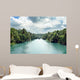 Tropical Jungle River Wall Mural