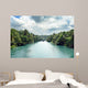 Tropical Jungle River Wall Mural