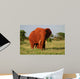 Red Elephant Wall Mural