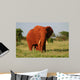 Red Elephant Wall Mural
