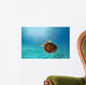 Hawks Bill Sea Turtle Wall Decal