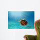 Hawks Bill Sea Turtle Wall Decal