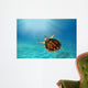 Hawks Bill Sea Turtle Wall Decal